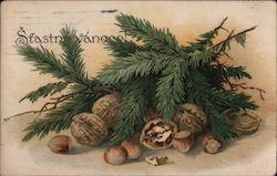 Šťastné Vánoce - Walnuts, Pine Boughs Christmas Postcard Postcard Postcard