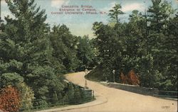 Cascadilla Bridge, Entrance to Campus, Cornell University, Ithaca, N.Y. New York Postcard Postcard Postcard