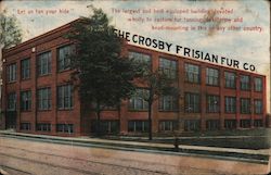 "Let us tan your hide" The Crosby Frisian Fur Co. Postcard