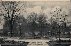 Jones Park Rochester, NY Postcard Postcard Postcard