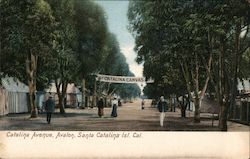 View of the Catalina Canvas Tents along Catalina Avenue on Santa Catalina Island Avalon, CA Postcard Postcard Postcard