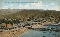 Business Section, Avalon Postcard