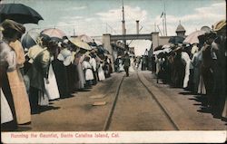 Running the Gauntlet Santa Catalina Island, CA Postcard Postcard Postcard