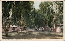 Color view of the tents of The Canvas City on Santa Catalina Island Avalon, CA Postcard Postcard Postcard