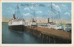 The Avalon Steamers at Wharf Postcard