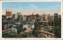 Bird's Eye View Postcard