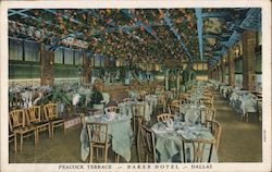 Peacock Terrace, Baker Hotel Postcard