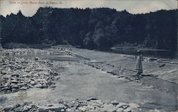 Scene at Little Miami River Foster, OH Postcard Postcard Postcard