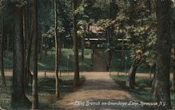 Long Branch on Onondaga Lake Syracuse, NY Postcard Postcard Postcard