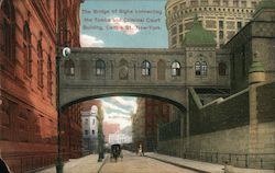 The Bridge of Sighs Connects the Tombs and Criminal Court Building New York City, NY Postcard Postcard Postcard