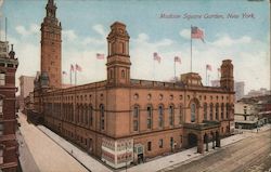 Madison Square Garden Postcard