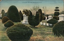 Evergreen Cemetery Sinclairville, NY Postcard Postcard Postcard