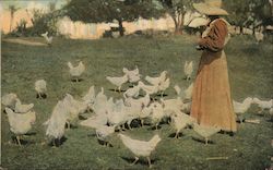 Woman in a Long Dress and Hat Feeding Chickens Postcard Postcard Postcard