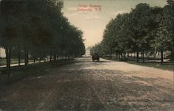 Looking Along Dolge Avenue Postcard