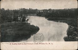 A Beauty Spot on Oak Orchard Creek Point Breeze, NY Postcard Postcard Postcard