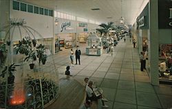 Colonial Plaza Shopping Mall Postcard