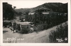 Bird Park Santa Catalina Island California Island Photo Postcard Postcard Postcard