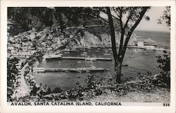 Avalon, Santa Catalina Island California Postcard Postcard Postcard