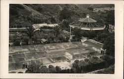 Bird Aviary Santa Catalina Island, CA Postcard Postcard Postcard