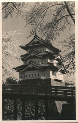 View of Japanese Pagoda, Cherry Blossoms Postcard Postcard Postcard