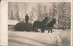 Two Horses Pulling Man Standing on Hay Men Postcard Postcard Postcard