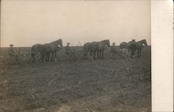 Three Horse Drawn Ploughs Tilling the Fields Occupational Postcard Postcard Postcard