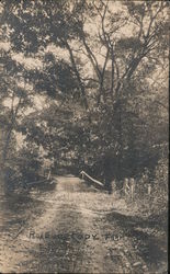 Road to Eddy Farm Postcard