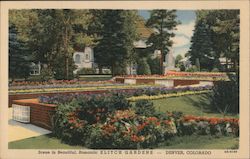 Scene in Beautiful, Romantic Elitch Gardens Postcard