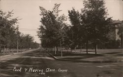 Park and Marion Drives Denver, CO Postcard Postcard Postcard