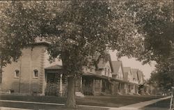 Row of brick houses on street with large trees Postcard