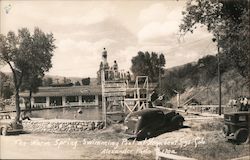 The WSarm Spring Swimming Pool Steamboat Springs, CO Alexander Photo Postcard Postcard Postcard