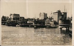 Private Yachts Anchored Miami, FL Postcard Postcard Postcard