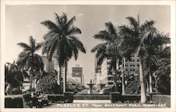 Flagler Street from Bayfront Park Miami, FL Postcard Postcard Postcard