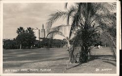 Bayfront Park Postcard