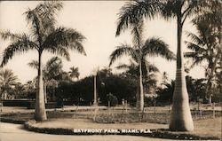 Bayfront Park Miami, FL Postcard Postcard Postcard