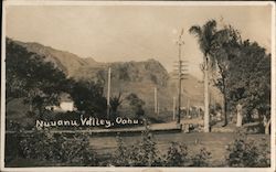 Nuuanu Valley, Oahu Postcard