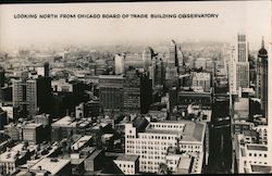 Looking North from Chicago Board of Trade Building Observatory Postcard