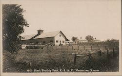 Stock Feeding Pens, Kansas State Agricultural College Postcard