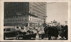 Hollywood & Vine Postcard