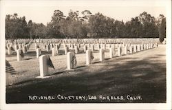 National Cemetery Postcard