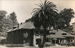 The Lodge, Golden Gate Park Postcard