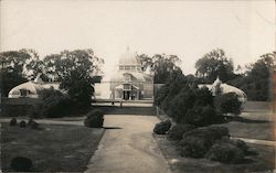 Conservatory of Flowers, Golden Gate Park Postcard