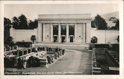 Steinhart Aquarium Golden Gate Park Postcard