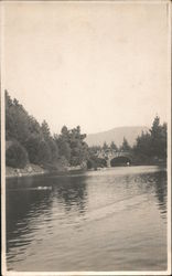 Water view of hillside with pines and stone arched bridge Postcard