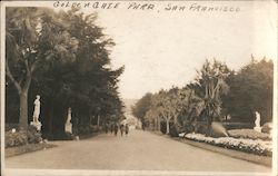 Golden Gate Park Postcard