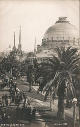 Horticulture Building Postcard