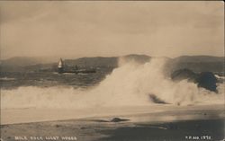 Mile Rock Light House San Francisco, CA Postcard Postcard Postcard