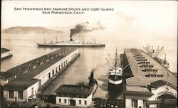 San Francisco Bay, Marine Docks and Goat Island Postcard