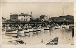 Fishing Fleet San Francisco Bay Postcard