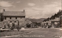 Homes on Liggett Ave, Presidio Postcard